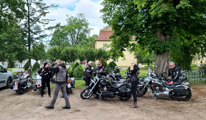 Woblitzsee im Juni-08.jpg